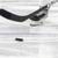 Slavia doma podlehla 4:7 Kolínu, který už je za ní druhý