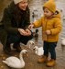 Tommi Ducks & Swans: Jak správně krmit kachny a labutě (bez pečiva)