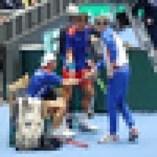 Berdych: Výhrou nad Švédskem jsme potvrdili, co se předpokládalo