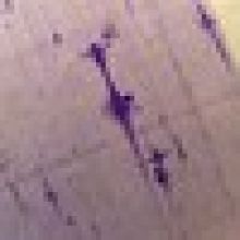 Západní pobřeží Itálie zasáhlo zemětřesení o síle 6,1 stupně