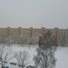 Důvod proč klepu na popelnice