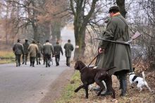 „Myslivecká lobby je silná.“ Poslanci jim chtějí zakázat odstřel psů a koček, už reagovali