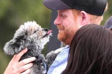 Škoda tyhle fotky minout: papež z plastu, selfie z Marsu nebo rukavice krále popu