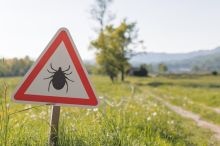 Klíšťata o víkendu zaútočí s větší silou. Podle čeho vědci poznají, kde bude nejhůř?