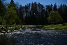 Na řadě jihočeských řek je sucho, situace je podle hydrologů nejhorší v ČR