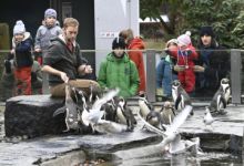 Audit v Zoo Praha ukázal na přetížení zaměstnanců i nízké mzdy