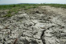 Ekologové připravují stínový Národní plán na obnovu přírody