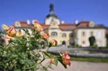 Desetitisíce květů růží rozzářily celou škálou barev zámek Nebílovy