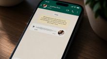 WhatsApp konečně zavádí uživatelská jména. Takhle si zaberete to svoje