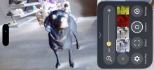 Jak pomocí iPhone najít kliště na psovi nebo kočce