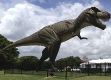 V Severní Dakotě vědci poprvé objevili sérii stop dospělého Tyrannosaura rexe