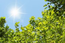 Napřed mrazíky a pak slunečno: meteorologové řekli, jak dlouho potrvá babí léto