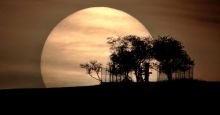 Planetárium: Oblohu protnou Orionidy a Luna po úplňku „ochutná“ Kuřátka: procházka říjnovou oblohou (audio)